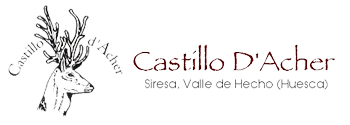 CASTILLO D´ACHER